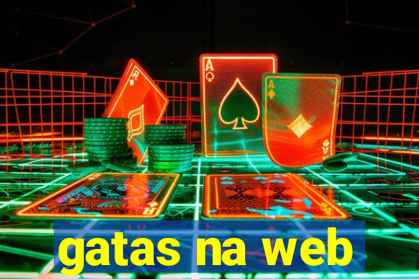 gatas na web